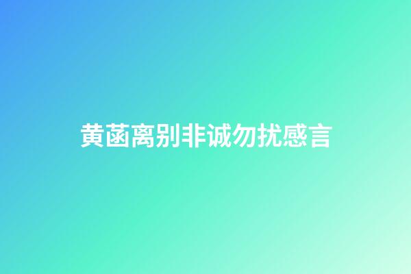 黄菡离别非诚勿扰感言