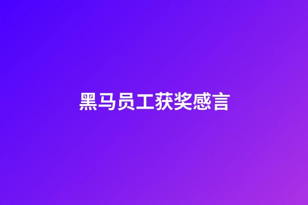 黑马员工获奖感言