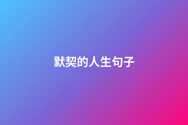 默契的人生句子