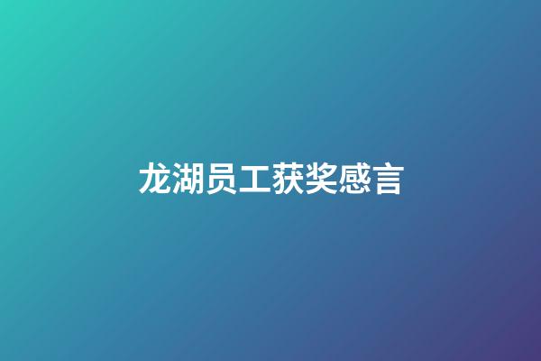 龙湖员工获奖感言